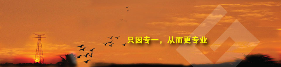 紅外熱成像系統(tǒng)在線(xiàn)測(cè)溫產(chǎn)品